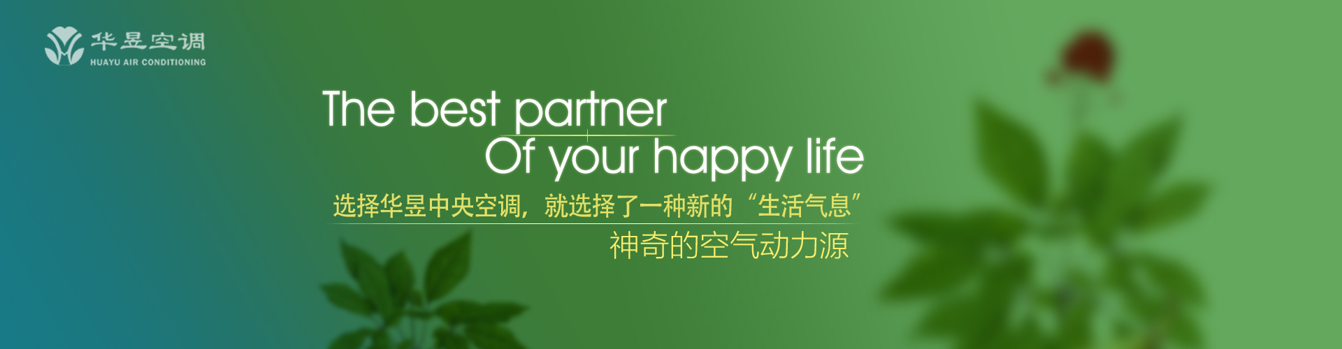 恬淡无为网